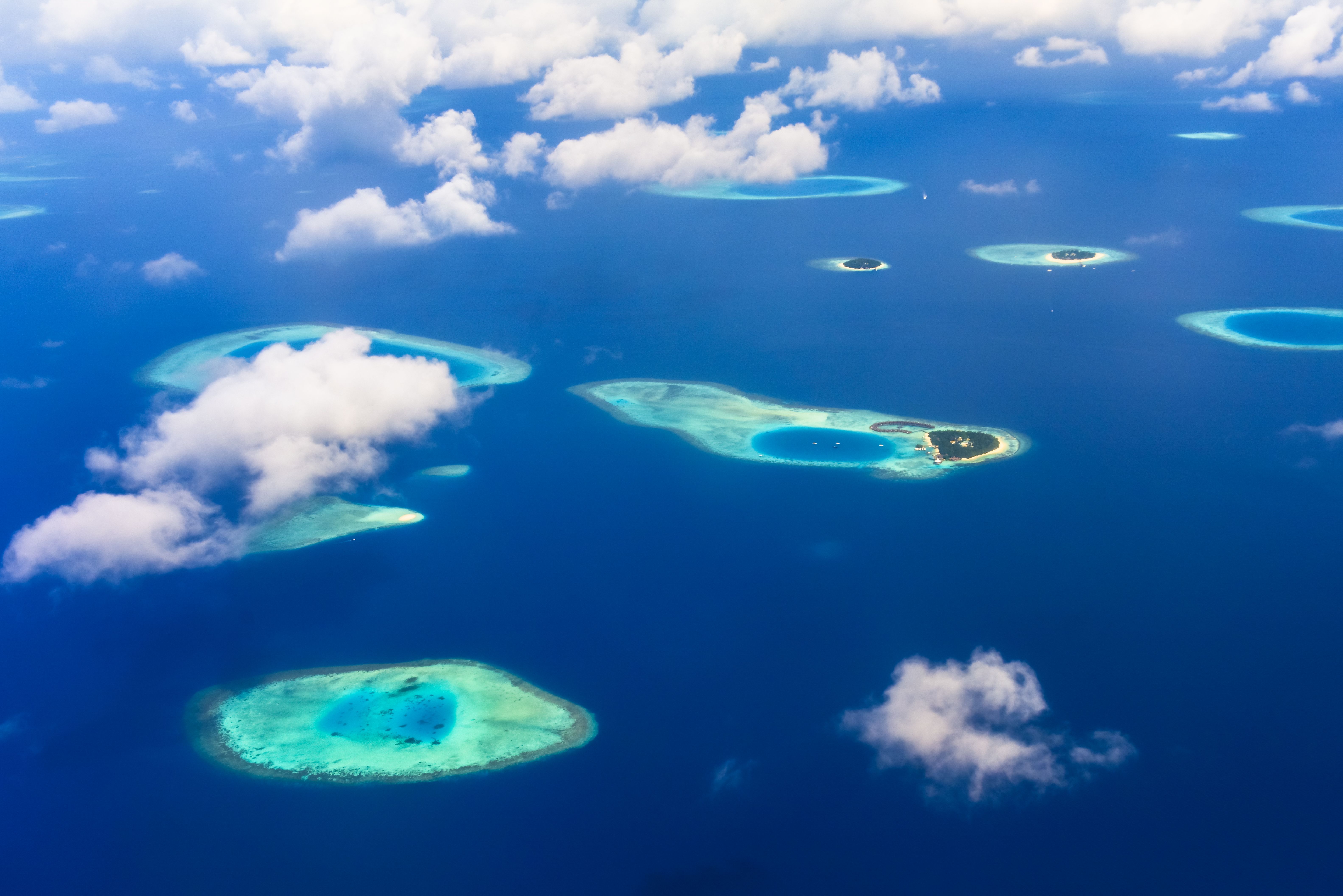 Tropical and exotic cruise